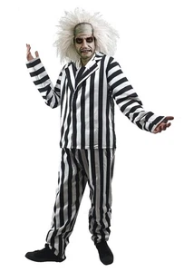 Crazy Beetle Man Movie Ghost Halloween Fancy Dress Costume Wig & Makeup - Picture 1 of 4