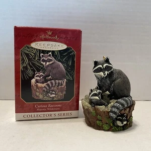 Hallmark Keepsake Ornament "Curious Raccoons" Majestic Wilderness 1999. T3096 - Picture 1 of 4