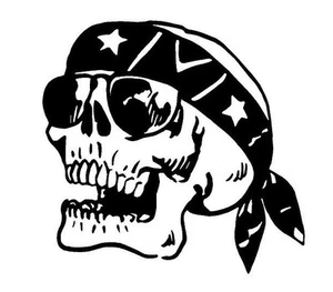 SKULL #123  DECAL VINYL GRAPHIC BONES SCARY CAR   VEHICLE  CROSS OVER  TRUCK SUV - Picture 1 of 2