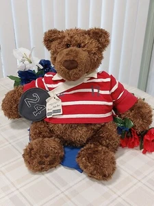Gund American Eagle Outfitters Plush Roscoe The Rugby Bear - Picture 1 of 10