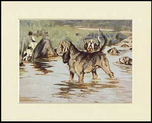 OTTERHOUND JAGDSZENE HUNDENDRUCK RAHMENFERTIG MONTIERT - Bild 1 von 1