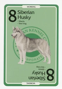 SIBERIAN HUSKY AMERICAN KENNEL CLUB DOG COLLECTABLE TRADING CARD - Picture 1 of 2