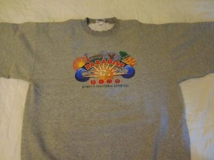 Vintage Disneyland California Adventure Paradise Pier Lg Gray Sweatshirt - Picture 1 of 4