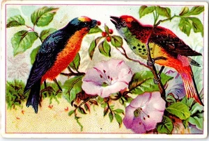 1800s Pretty Birds in Tree with Flowers and Berries Victorian Trade Card - Picture 1 of 2