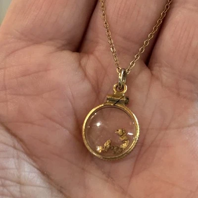 Винтажный ECCO золото заполненное ожерелье шейк медальон с золотые самородки 18» - Изображение 1 из 4