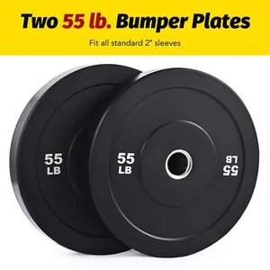 55lb Weight Plates 2" Olympic Bumper Plates for Pro School or Home Gyms Set of 2 - Picture 1 of 7