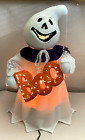 Fiber Optic BOO Ghost W/ Spider Color Changing Halloween Decor 18”