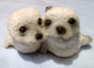 Seal Zwillingsbabys - winzig und so süß - Bild 1 von 6