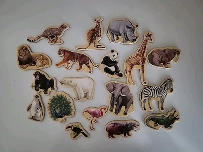 Imanes de madera para animales 18 piezas Foto 1 de 3