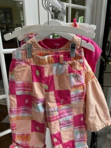 Girls Gymboree Gap Pink Orange Popsicle Ice Cream Clothes Sizes 3 4 4T Lot - Picture 1 of 20