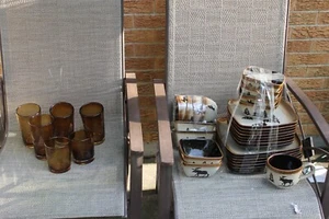 35 piece Home Studio Woodland Collection Moose & Pine service for 6-8 - Picture 1 of 10