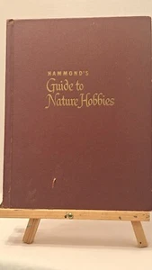 Hammonds Guide to Nature Hobbies outdoor by E.L. Jordan Illustrated 1953 - Foto 1 di 8