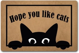 Funny Welcome Doormats Decorative Area Rugs for Front Porch Decor Hope You Like - Picture 1 of 7