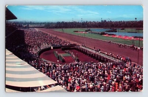 Postcard California Inglewood CA Hollywood Park Horse Racing 1960s Unposted - Picture 1 of 2