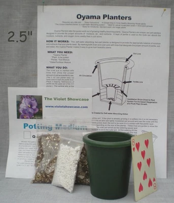 Oyama Planter® Kit 2 1/2” Verde Riego Automático Violeta Africano Envío Gratis Foto 1 de 4