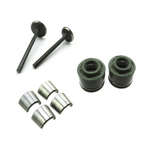 23mm 28mm Inlet Exhaust Valves Stems Seals For Zongshen Z155 Dirt Bike DHZ WPB - Picture 1 of 10