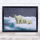 A Family Polar Bear Cub Arctic Winter Ice Animal Nature Wall Art Print