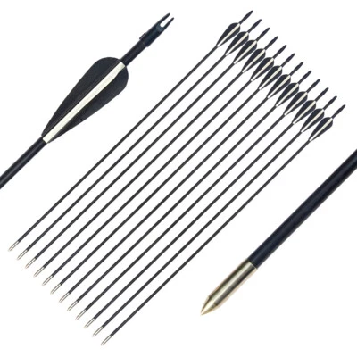 30 Inch 10pcs Fiberglass Arrows Archery Target Shooting Practice Safetyglass - Image 1 of 4