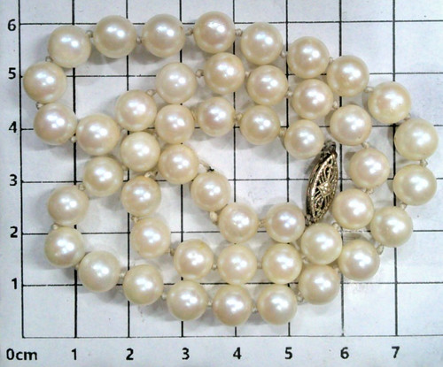 Foto 1 di 2