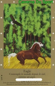 13/97 EAGLE CARTE CARD BELLA SARA COLLECTION 2005 - 2007 - D - Picture 1 of 1