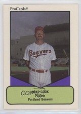 1990 ProCards AAA Future Stars Mike Cook #241