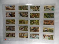 Sunlight Soap Trade Cards British Birds & Their Nests 1961 Complete Set 20
