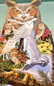 Bits And Pieces Owl Puzzle Jack Williams 20 x 27 inches New Sealed 750 Piece SEE - Picture 1 of 9