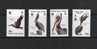 S1570   British Virgin Islands  1988   birds   WWF   4v.   MNH