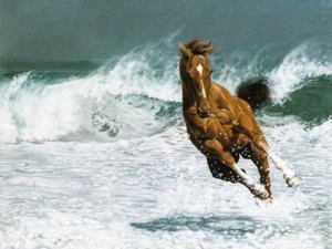 ZOPT0397 100% Handmade Painted Running Horse By Sea Oil Painting Art On Canvas - Picture 1 of 2