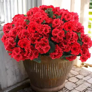 6 Bundles Artificial Geranium Flowers for Outdoors Silk Geranium Flowers Outdoor - Picture 1 of 12