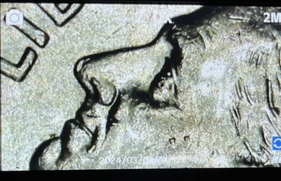 2010 P Rosevelt Dime DDO Double Eye Double Lips - Free Shipping! - Image 1 of 4