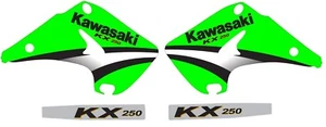 Shroud swing arm Graphics for 2003-2012 Kawasaki KX250 KX 250 Decals - Foto 1 di 1
