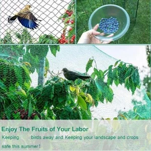 Anti Bird Net Mesh Bird-proof Net Protector Field Pest Best Supplies J1H6 - Picture 1 of 13
