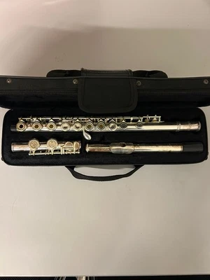 Flauto traverso, marca Comet, inclusi custodia Comet e panni per pulizia - Immagine 1 di 2