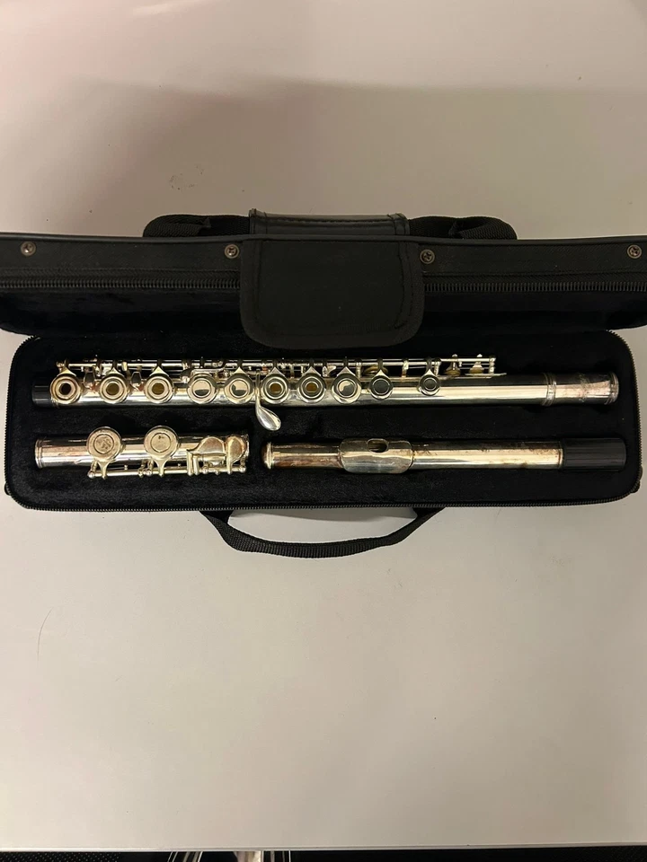 Flauto traverso, marca Comet, inclusi custodia Comet e panni per pulizia - Immagine 1 di 2