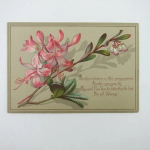 Tarjeta de Felicitación Victoriana Año Nuevo Blanco y Rosa Azalea Flores Rama Antigua - Imagen 1 de 15