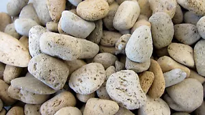 Twelve Pumice Beige Gray Volcanic Rock 20-40mm Reiki Healing Crystal Negativity - Bild 1 von 3