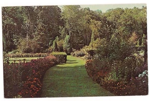 INTERNATIONAL FRIENDSHIP GARDENS Michigan City Indiana Postcard IN Flowers - Picture 1 of 2