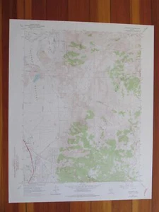 Steamboat Nevada 1976 Original Vintage USGS Topo Map - Picture 1 of 1