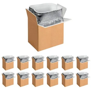 12 Pack Insulated Shipping Boxes with Aluminum Foil Liner Small Box 6''x5''x9'' - Picture 1 of 8
