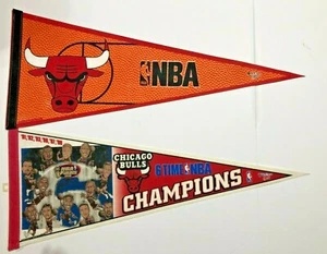 CHICAGO BULLS 1991 MICHAEL JORDAN NBA 6 TIME CHAMP NBA BASKETBALL PENNANTS new - Picture 1 of 1