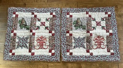 Conjunto vintage de 2 fronhas de travesseiro acolchoadas de retalhos de celeiro de cerâmica 26 X 26 pássaro quadrado - Imagem 1 de 4