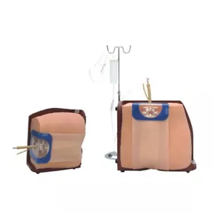 Modelo médico de punción lumbar con entrenamiento realista de anestesia anatomía espinal - Imagen 1 de 6