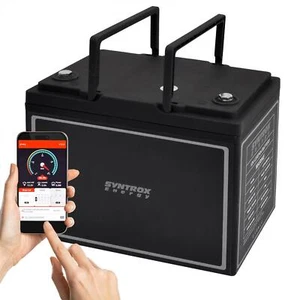 12V 60Ah LiFePO4 Akku BMS + Bluetooth / Gold - Bild 1 von 10