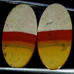 17.20 Cts Natural Polygram Jasper Gemstone Oval Unique Cabochon Pair 12X24X3MM - Picture 1 of 6