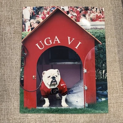 11X14 UGA VI ('99-'08) Photo Wall Art Georgia Football  - Image 1 of 4