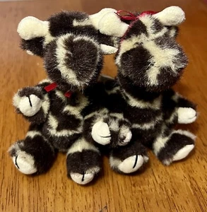 Vintage Boyds Bears, Noah’s Ark 3.5” Plush Giraffes Stretch & Skye Longnecker - Picture 1 of 3