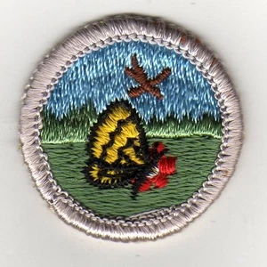 Insignia de mérito natural tipo G, borde plateado, parte posterior de tela (1969-71), ¡como nueva! - Imagen 1 de 1