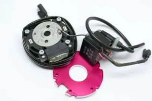 PVL complete analog System 13° incl. Adapterplate für MZ RT 125 und DKW RT 125 - Picture 1 of 1