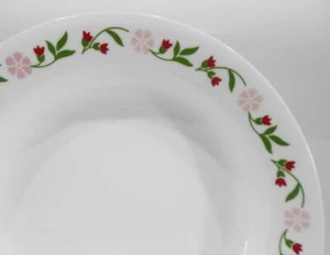 ❤️ 1 Corelle Corning SPRING PINK 15-oz PASTA SOUP BOWL 8.5" Flat Rim Plate Red - Picture 1 of 7